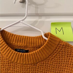 American Eagle Outfitters Men's Rust Crewneck Sweater